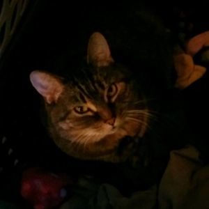 Meet your Posher, Caroline